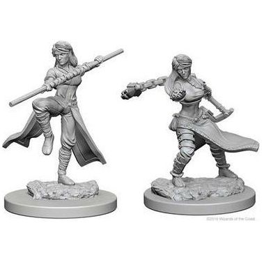 D&amp;D - Minis - Nolzurs Marvelous Miniatures - Moine Humain