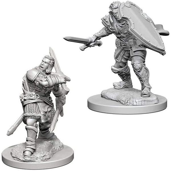 D&amp;D - Minis - Nolzurs Marvelous Miniatures - Paladin mâle humain