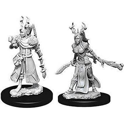 D&amp;D - Minis - Nolzurs Marvelous Miniatures - Druide Humaine Femelle