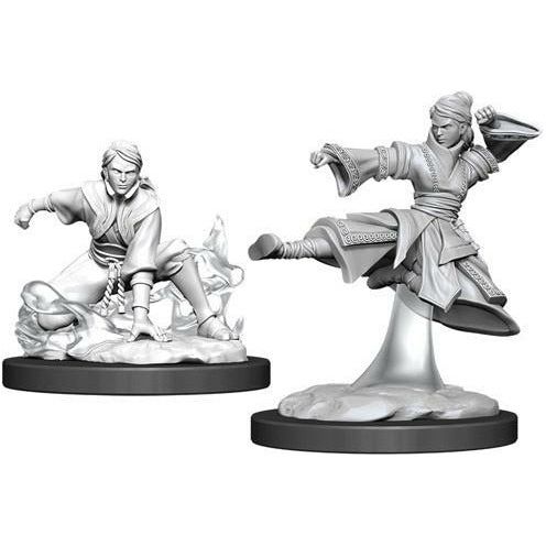 D&amp;D - Minis - Nolzurs Marvelous Miniatures - Moine Humain