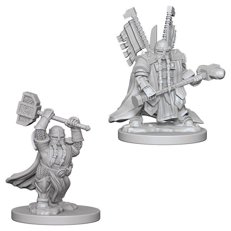 D&amp;D - Minis - Nolzurs Marvelous Miniatures - Paladin mâle nain