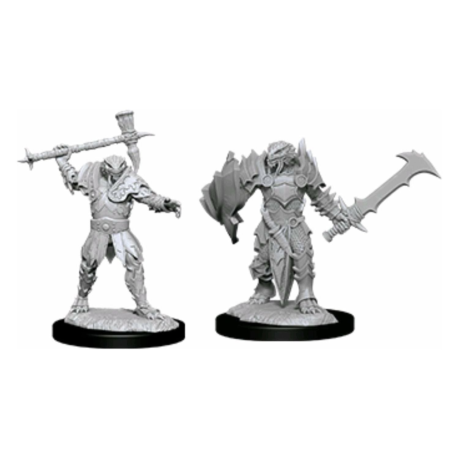 D&D - Minis - Nolzurs Marvelous Miniatures - Dragonborn Male Paladin