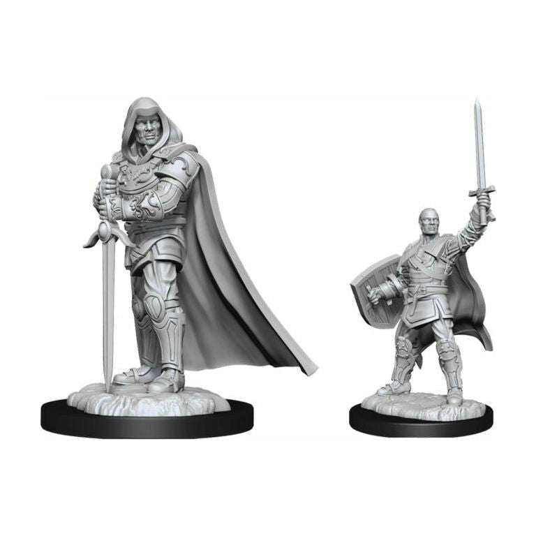 D&amp;D - Minis - Nolzurs Marvelous Miniatures - Paladin mâle humain