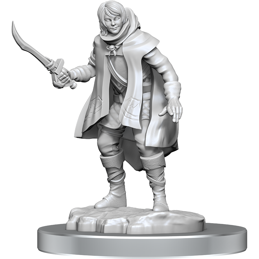 D&D - Minis - Nolzurs Marvelous Miniatures - Elf Rogue & Half-Elf Rogue Protege