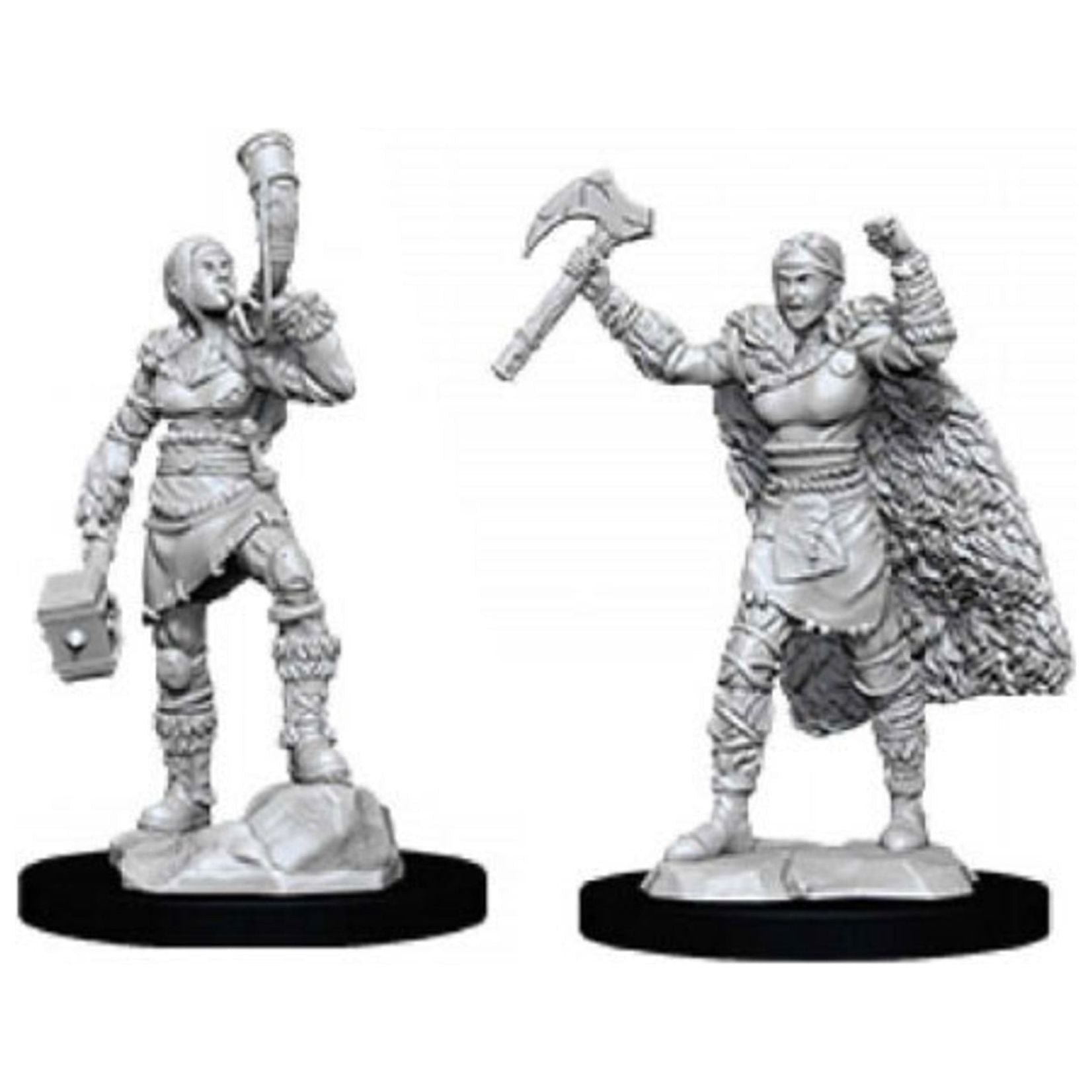 D&amp;D - Minis - Nolzurs Marvelous Miniatures - Barbare humain féminin