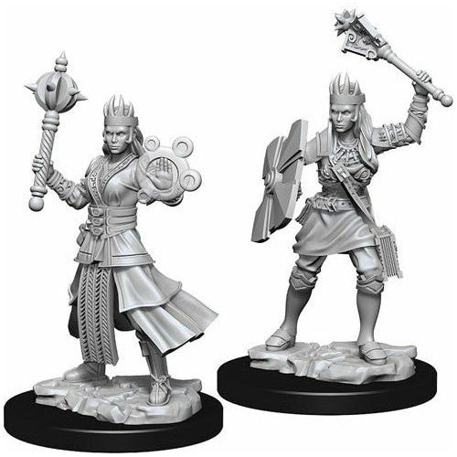 D&amp;D - Minis - Nolzurs Marvelous Miniatures - Clerc humain