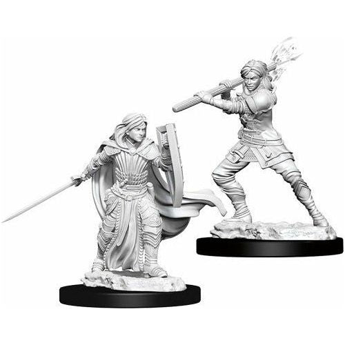 D&D - Minis - Nolzurs Marvelous Miniatures - Human Female Paladin