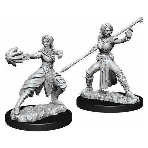 D&amp;D - Minis - Nolzurs Marvelous Miniatures - Moine femelle demi-elfe