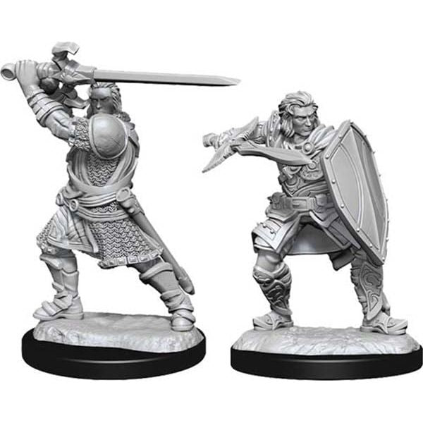 D&amp;D - Minis - Nolzurs Marvelous Miniatures - Paladin mâle humain