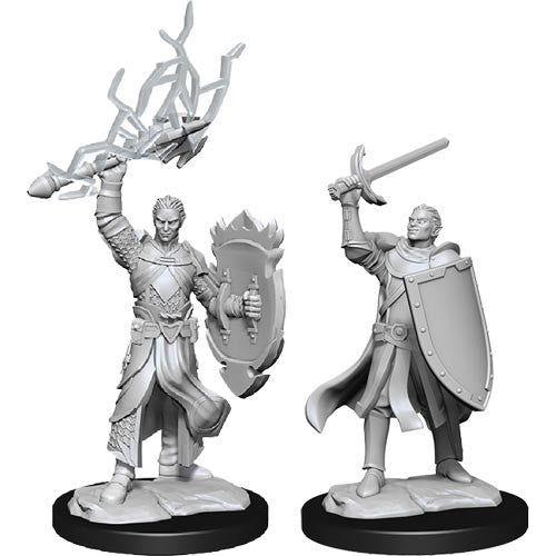 D&amp;D - Minis - Nolzurs Marvelous Miniatures - Paladin mâle demi-elfe